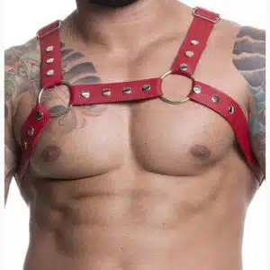 HARNESS EM COURO SINTÉTICO NA COR VERMELHO SD Clothing